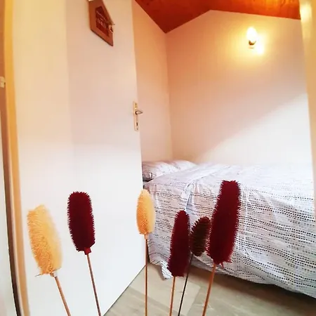 Jolie -appart Partage- Centre - 5 Min Gare & Lac - Gratuit- Wifi, Petit Dej, Serviettes, Velos *
