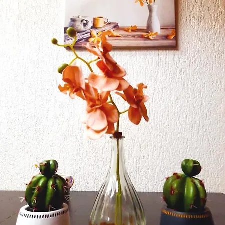 Jolie -appart Partage- Centre - 5 Min Gare & Lac - Gratuit- Wifi, Petit Dej, Serviettes, Velos Homestay