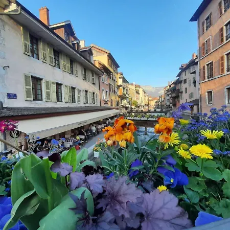 Jolie -appart Partage- Centre - 5 Min Gare & Lac - Gratuit- Wifi, Petit Dej, Serviettes, Velos Homestay